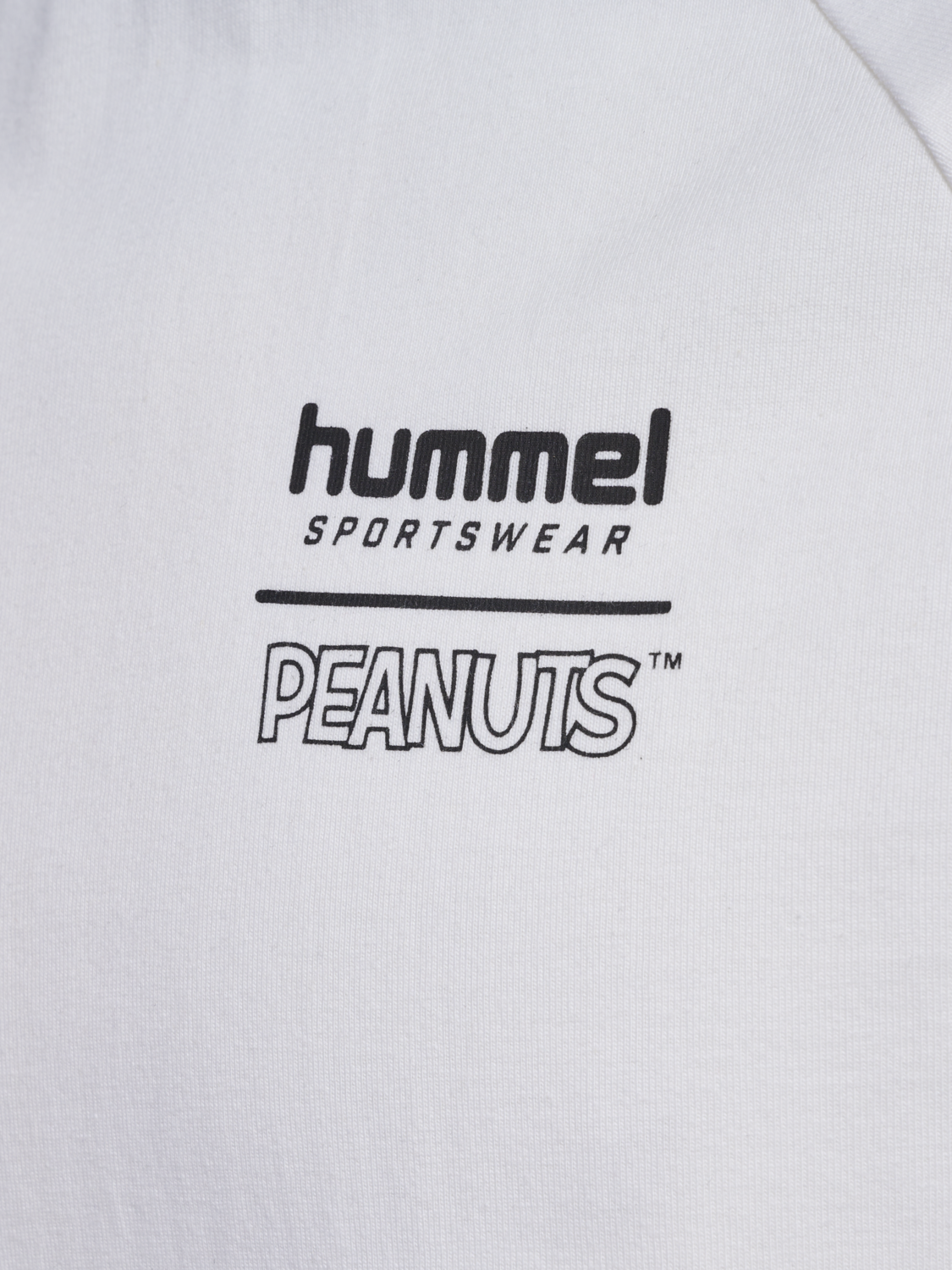 hmlARCHIVE T-SHIRT S/S PEANUTS, BLANC DE BLANC/BLANC DE BLANC, packshot