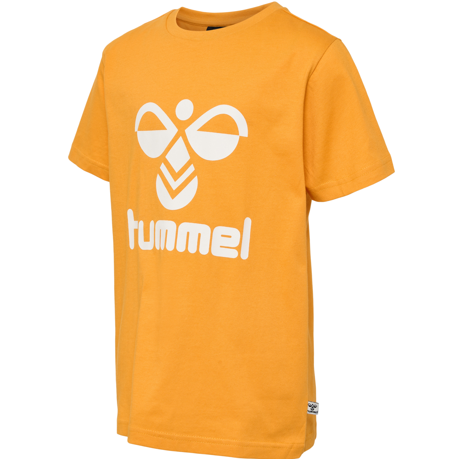 hmlTRES T-SHIRT S/S 2-PK, BUTTERSCOTCH/PINENEEDLE, packshot
