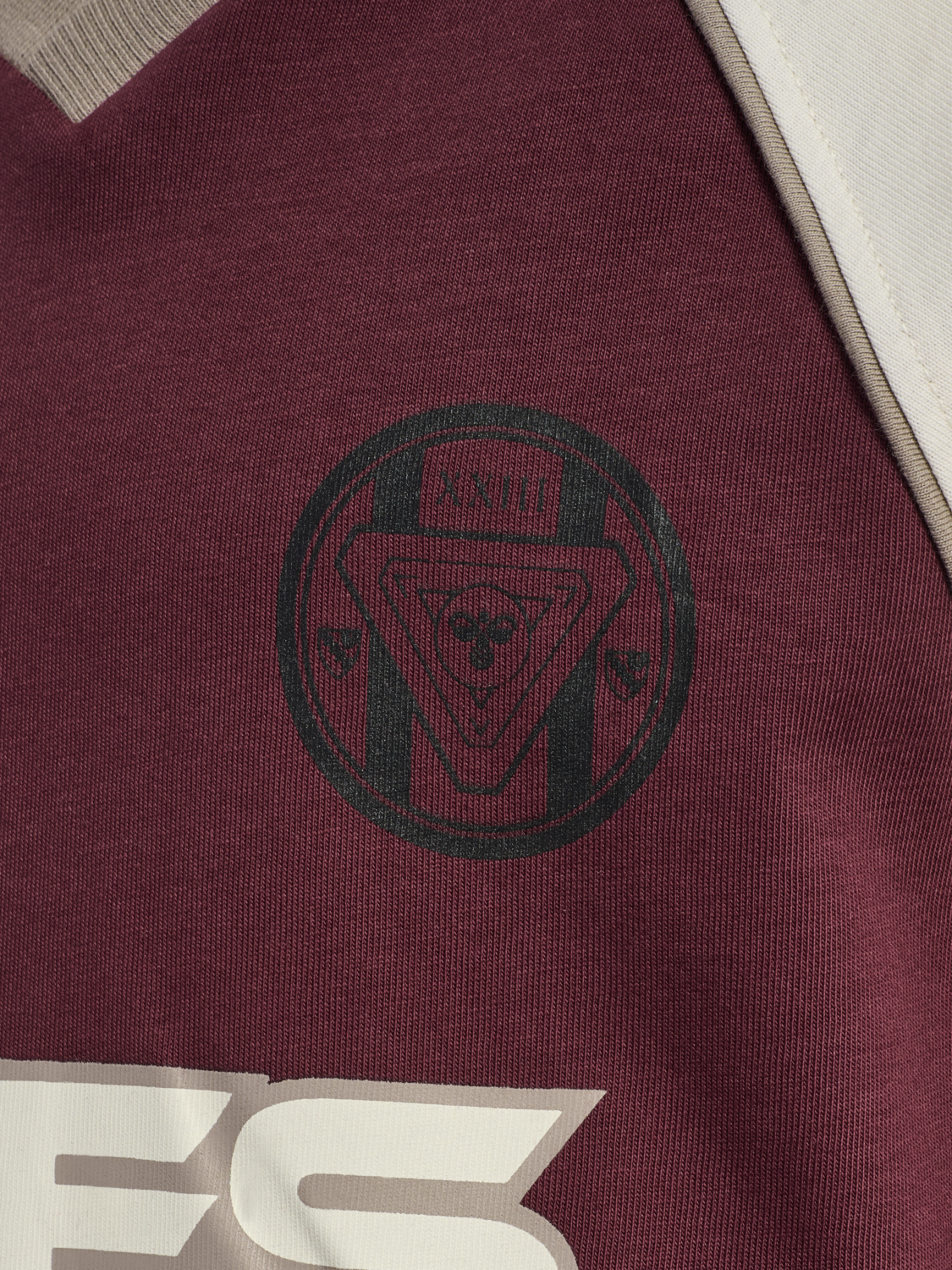 hmlJR REG V-NECK BEES T-SHIRT S/S, VINEYARD WINE, packshot