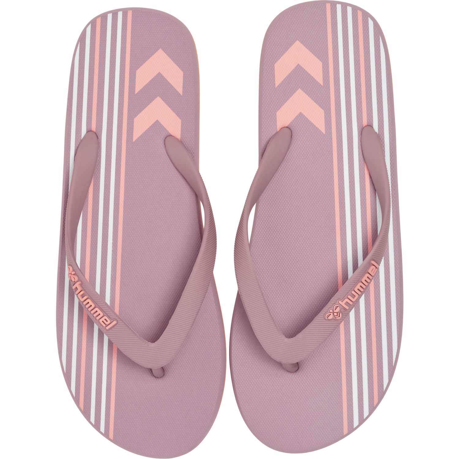 MULTI STRIPE FLIP FLOP, WOODROSE, packshot
