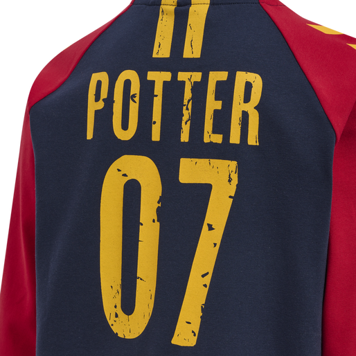 hmlHARRY POTTER BOYS T-SHIRT L/S, SCARLET SAGE, packshot