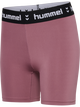 WISTFUL MAUVE