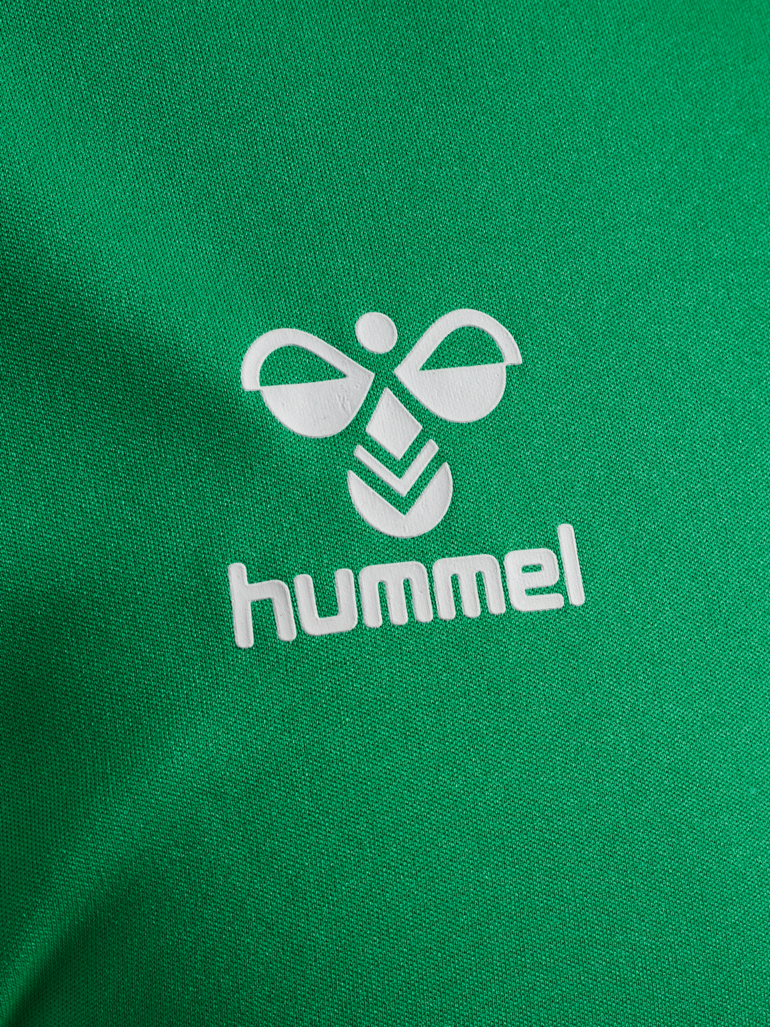 ASSE 23/24 TR PL JERSEY S/S, BRIGHT GREEN, packshot