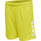 BLAZING YELLOW