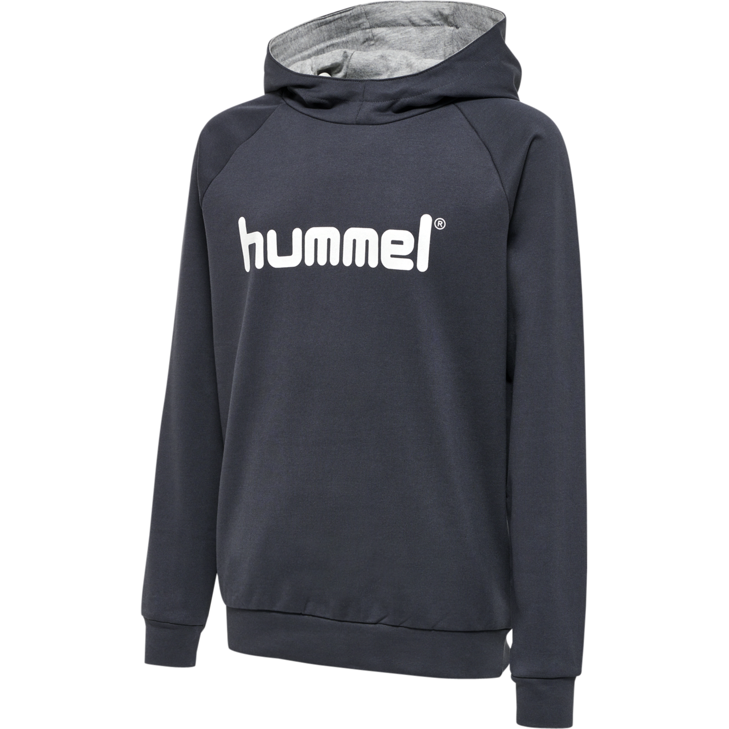 HUMMEL GO KIDS COTTON LOGO HOODIE, INDIA INK, packshot