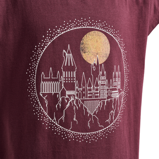 hmlHARRY POTTER T-SHIRT, 3679, packshot
