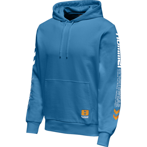 hmlLGC BIRK HOODIE, 7042, packshot