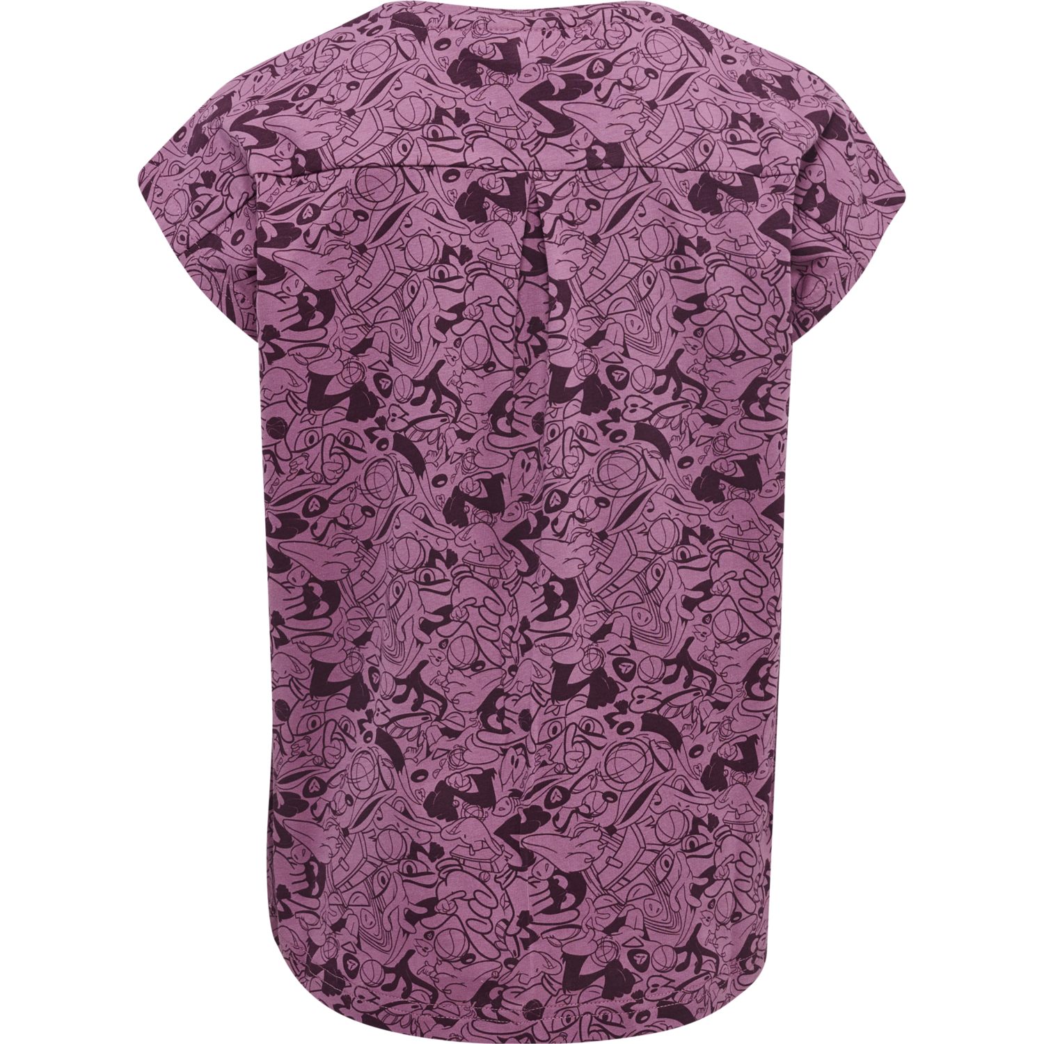 hmlSPACE JAM DIEZ T-SHIRT S/S, BORDEAUX, packshot