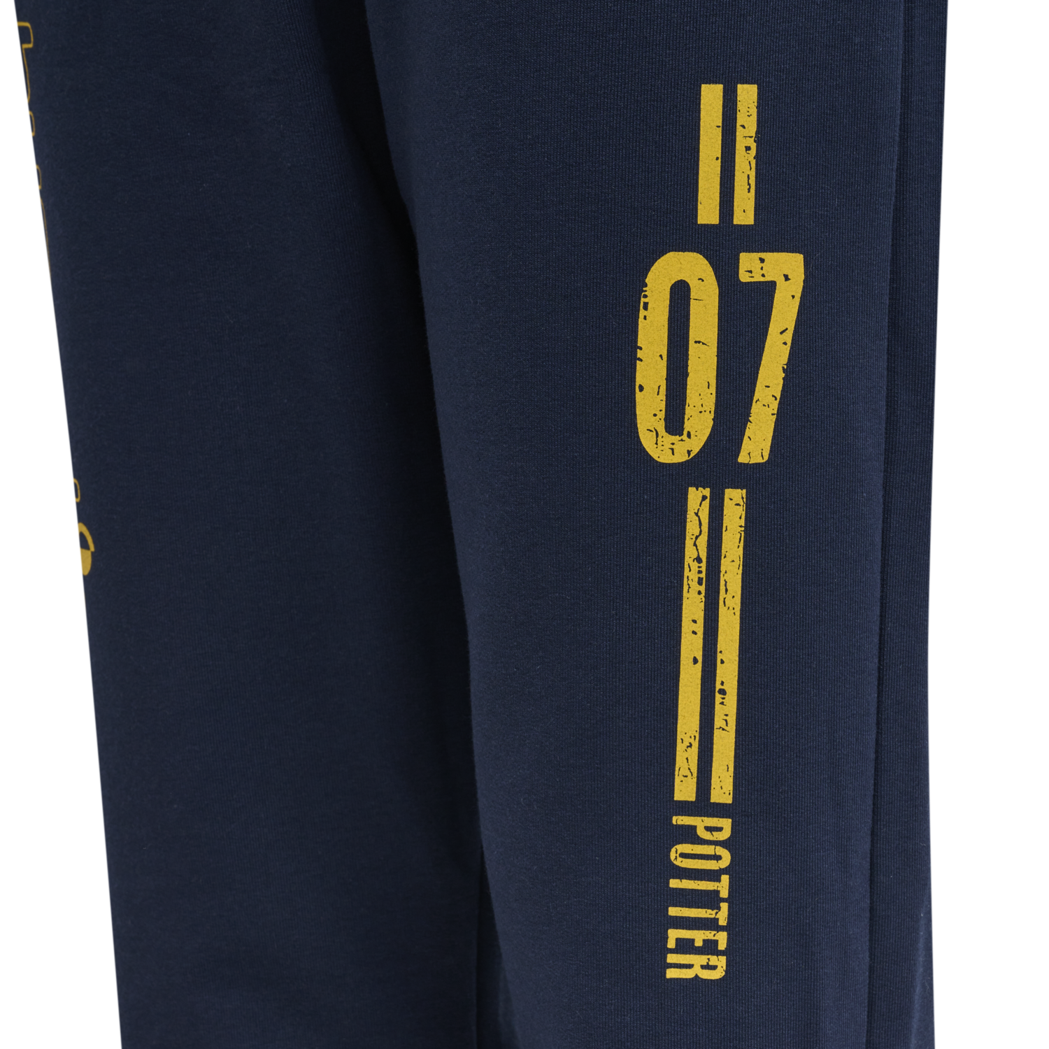 hmlHARRY POTTER ON PANTS, BLACK IRIS, packshot