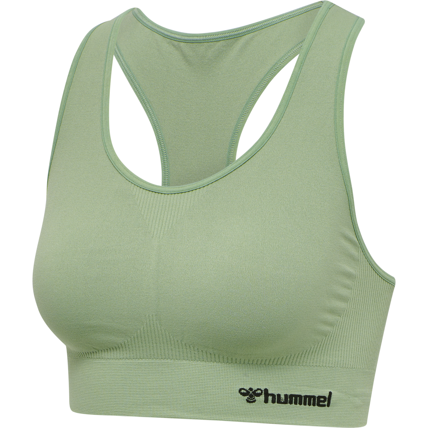 hmlTIF SEAMLESS SPORTS TOP, BASIL, packshot