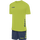 LIME PUNCH