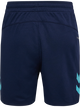 MARINE/BLUE FISH