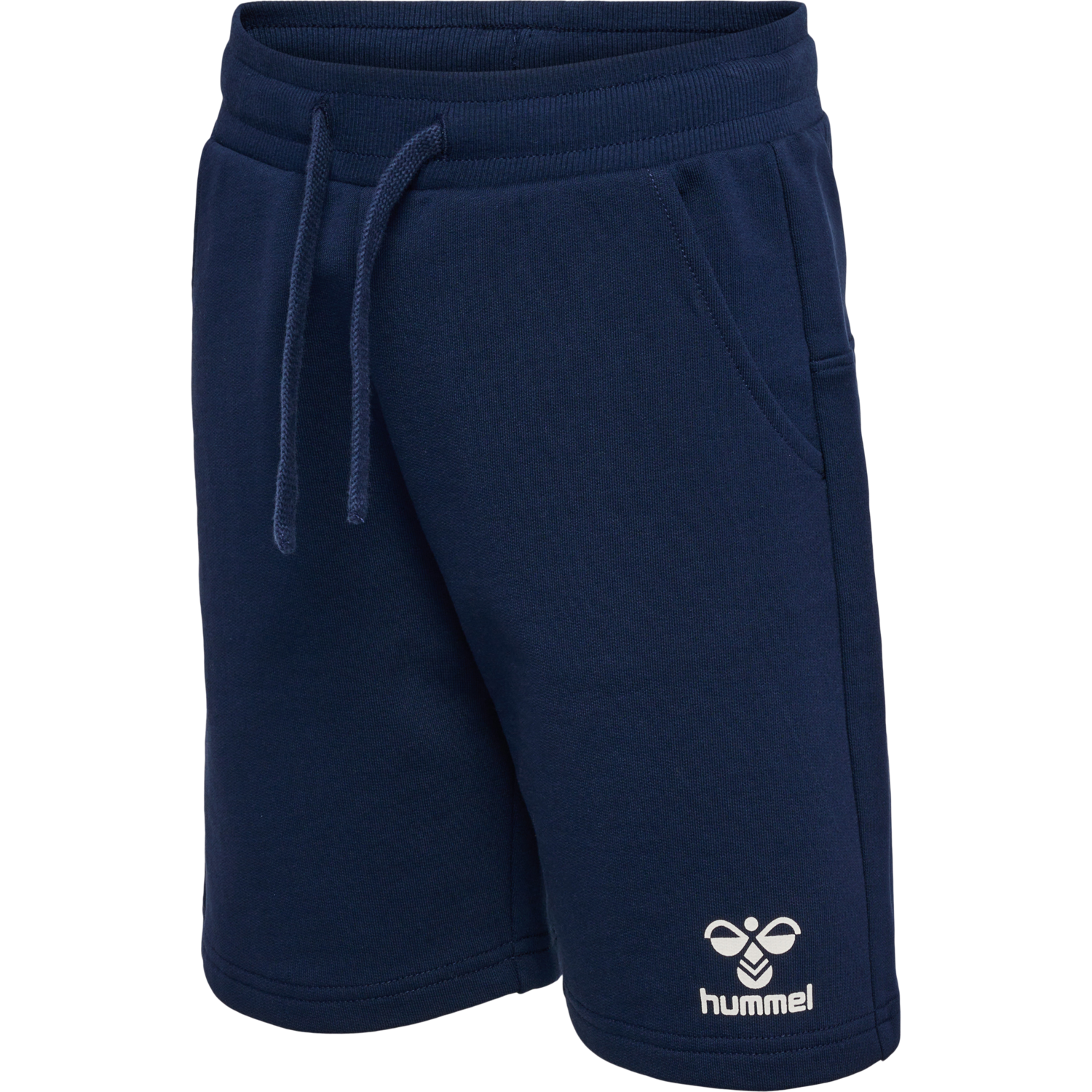 hmlFLOW SHORTS, BLACK IRIS, packshot