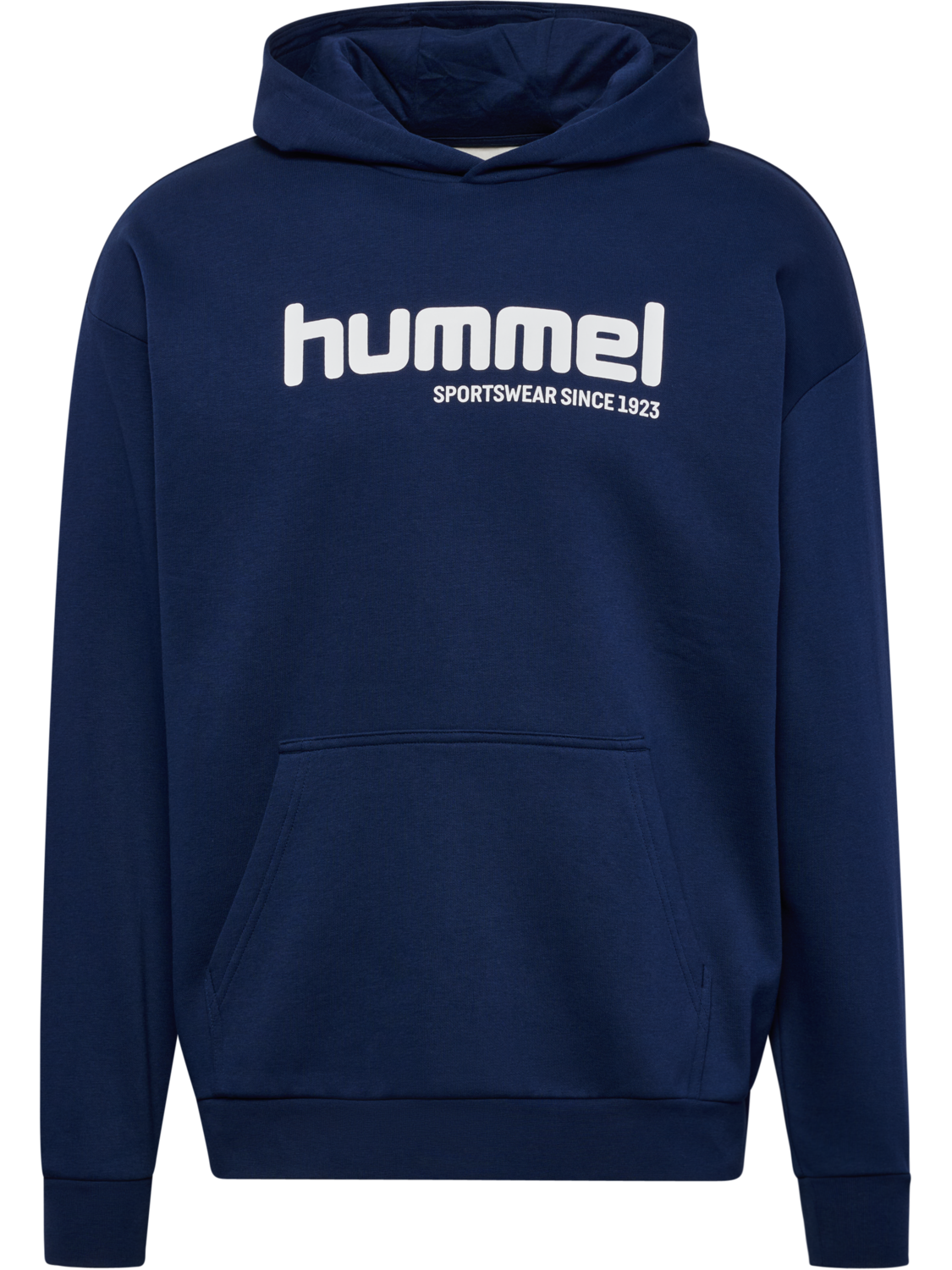 hmlSW GRAPHIC HOODIE, DRESS BLUES, packshot