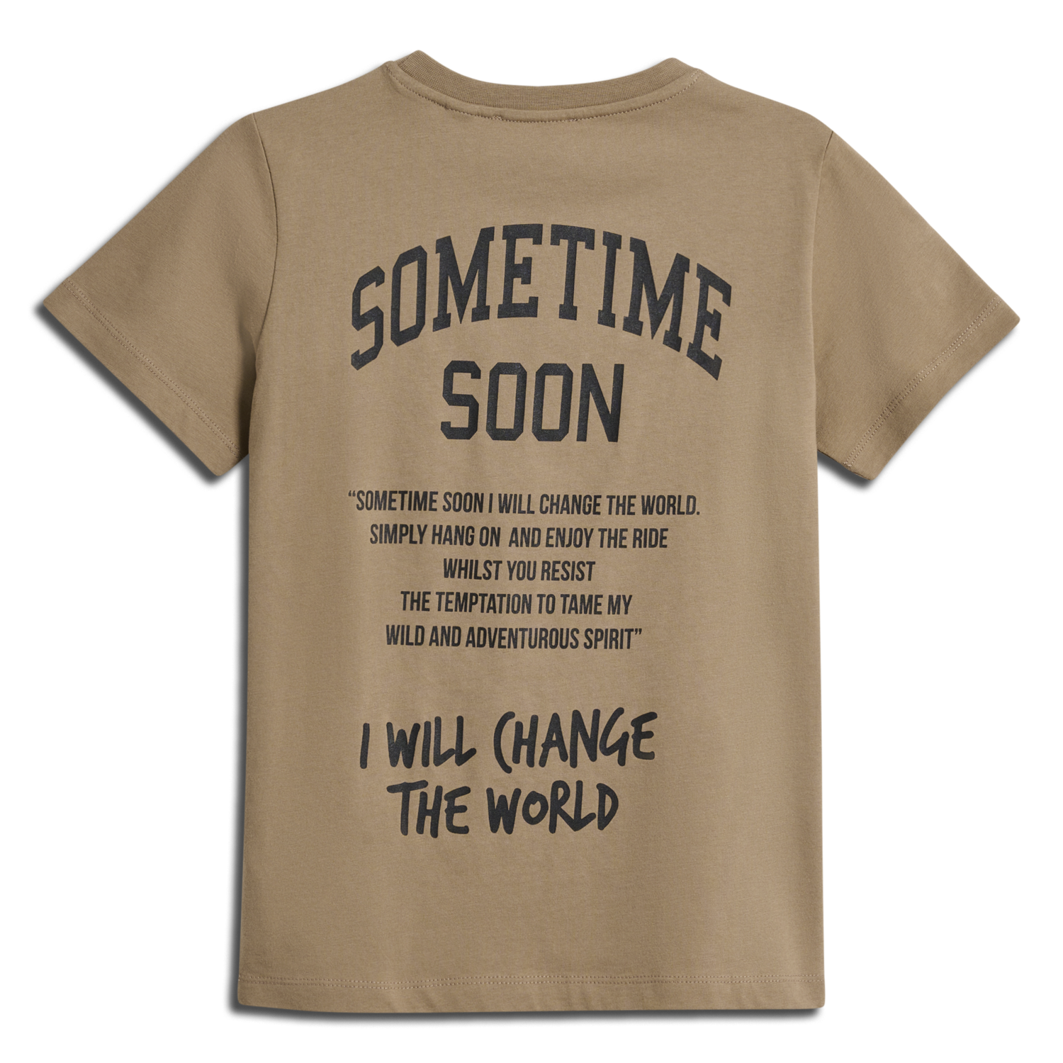 stmDIMAS T-SHIRT S/S, SEPIA TINT, packshot